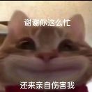 向發(fā)偉